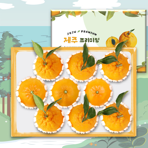 [제주프리미엄]한라봉혼합1호(한6/천3) 3kg