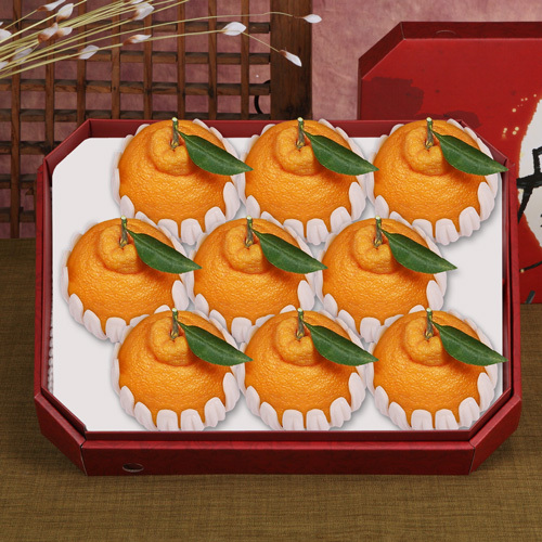 [프라임]팔각한라봉9과 3kg