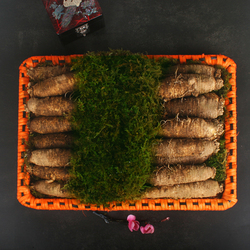 Image Alternative text