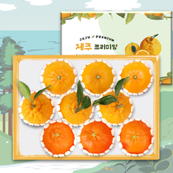 [제주프리미엄]한라봉혼합2호(한3/레3/천3) 3kg